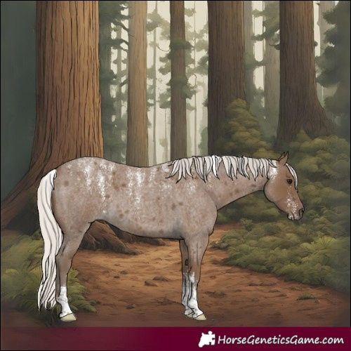 Horse Color:Powder White Silver Smoky Blue Roan 