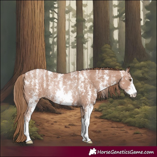 Horse Color:Powder White Black Pearl Sabino Rabicano 