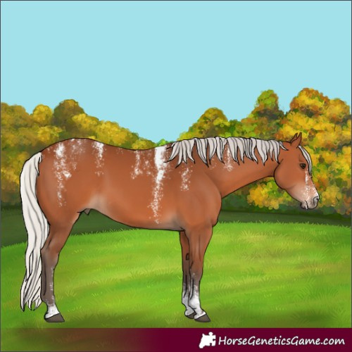Horse Color:Powder White Silver Brown 