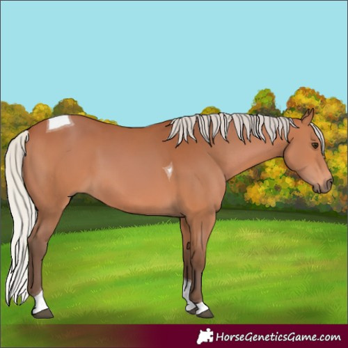 Horse Color:Silver Bay Tobiano 