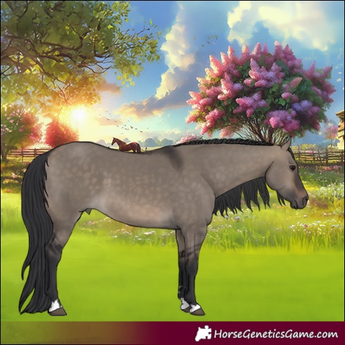 Horse Color:Brown Dun 