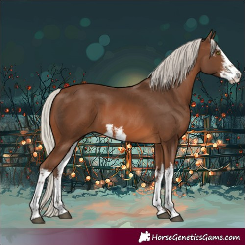 Horse Color:White Spotted Silver Bay