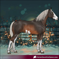 Horse Color:White Spotted Silver Bay 