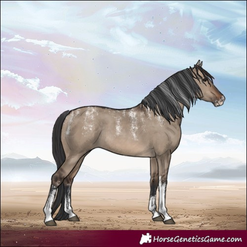 Horse Color:Powder White Brown Dun Rabicano 