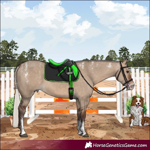 Horse Color:Powder White Silver Brown Dun 