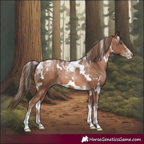 Horse Color:Powder White White Spotted Brown Pearl 