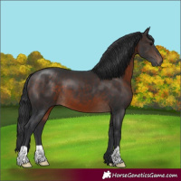 Horse Color:Brown 