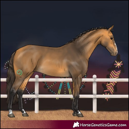 Horse Color:Buckskin 