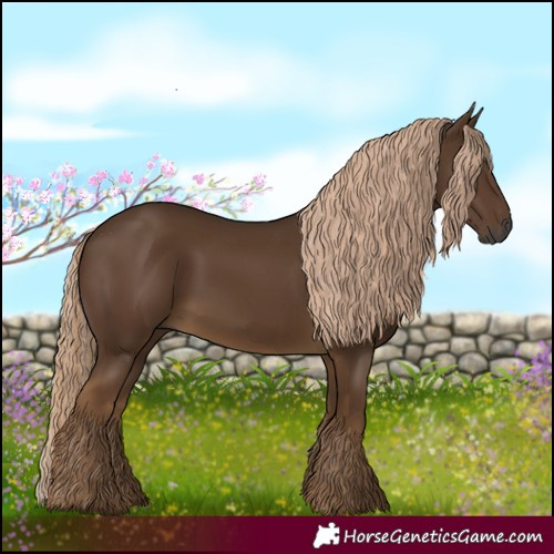 Horse Color:Gray Chocolate Palomino 
