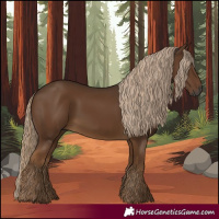 Horse Color:Gray Chocolate Palomino 