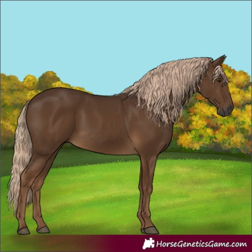 Horse Color:Gray Chocolate Palomino 