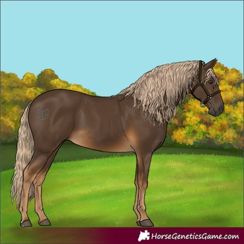 Horse Color:Gray Chocolate Palomino 