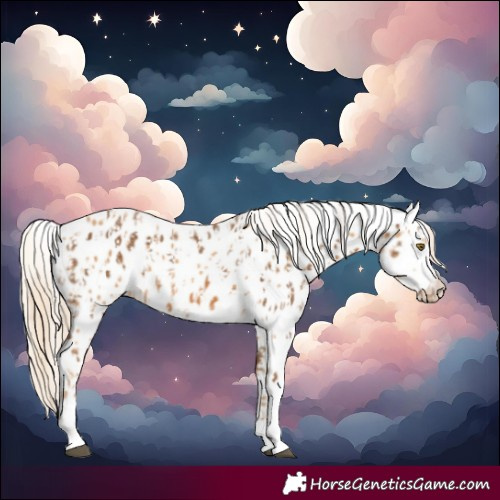 Horse Color:Chocolate Palomino Leopard  and Palomino Sabino Leopard 