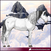 Horse Color:Black Splash Near Fewspot 