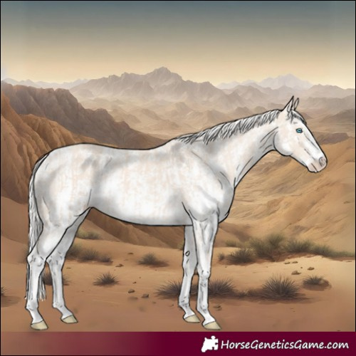 Horse Color:Cremello Sabino  and Cremello Sabino Rabicano 