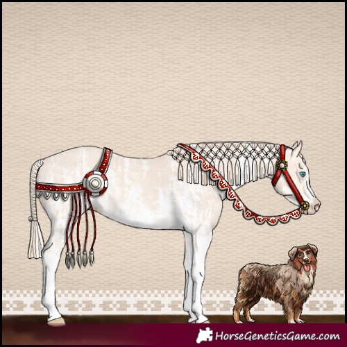 Horse Color:Perlino Sabino  and Perlino Sabino 