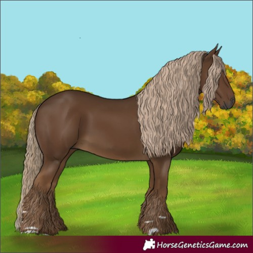 Horse Color:Gray Chocolate Palomino