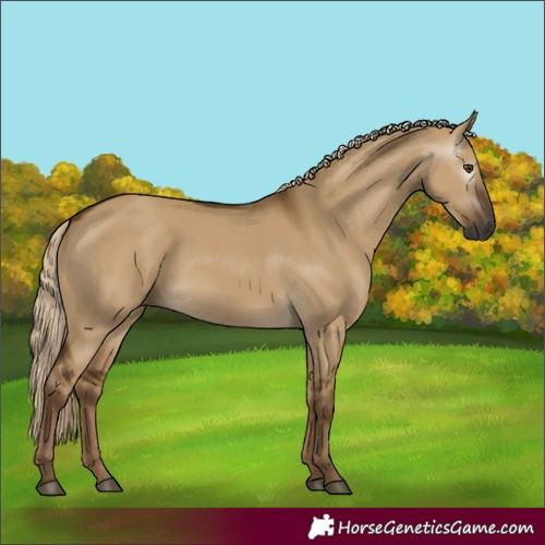 Horse Color:Gray Chocolate Palomino Dun 