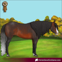 Horse Color:Brown Splash