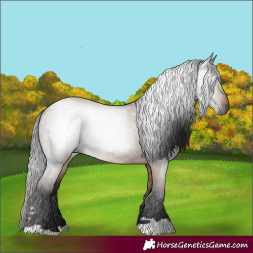 Horse Color:Gray Brown Dun 