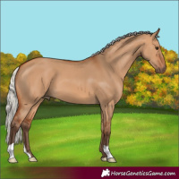 Horse Color:Silver Bay Dun