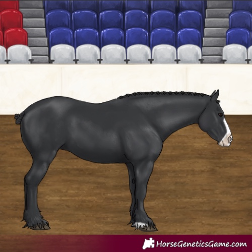 Horse Color:Black Frame 