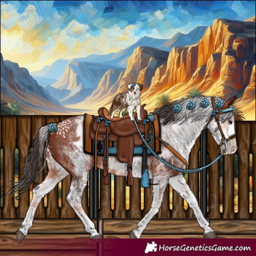 Horse Color:Unknown 