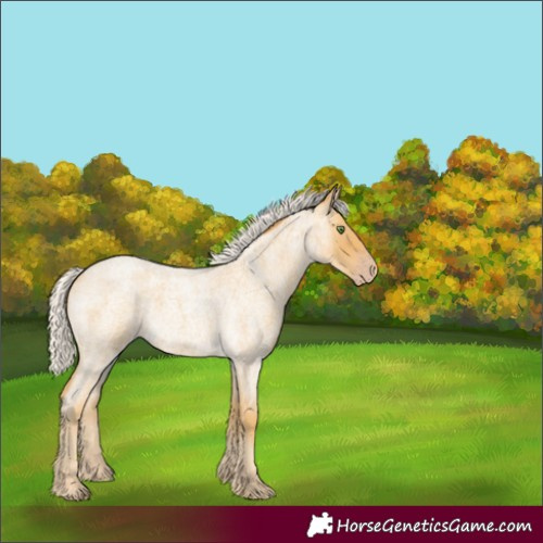 Horse Color:Silver Classic Cream Champagne Roan 