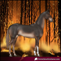 Horse Color:Liver Chestnut Tobiano Rabicano
