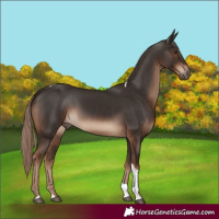 Horse Color:Liver Chestnut Tobiano Rabicano 