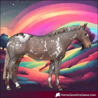 Horse Color:White Spotted Liver Chestnut Appaloosa Rabicano