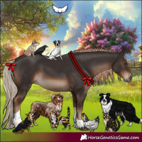 Horse Color:Liver Chestnut Tobiano Rabicano 