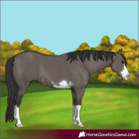 Horse Color:Smoky Grullo 