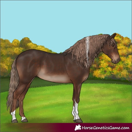 Horse Color:Liver Chestnut Tobiano Rabicano 