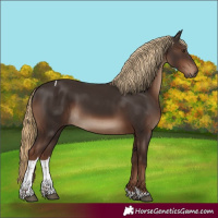 Horse Color:Liver Chestnut Tobiano Rabicano 