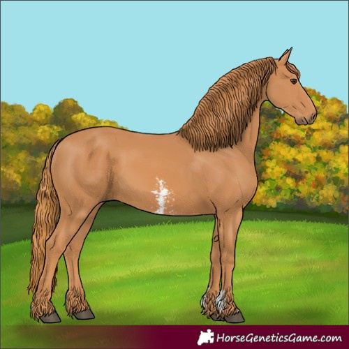 Horse Color:Unknown 