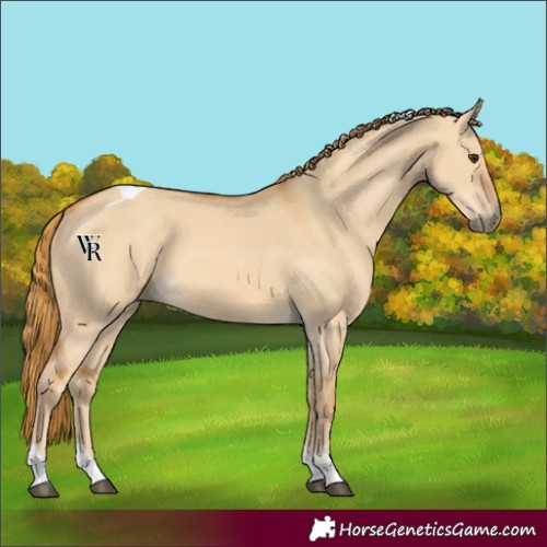Horse Color:Red Dun Tobiano