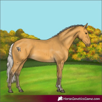 Horse Color:Silver Buckskin 