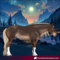 Horse Color:Liver Chestnut Tobiano Rabicano 