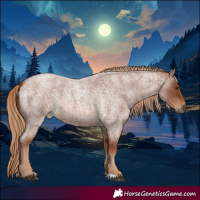 Horse Color:Red Roan 