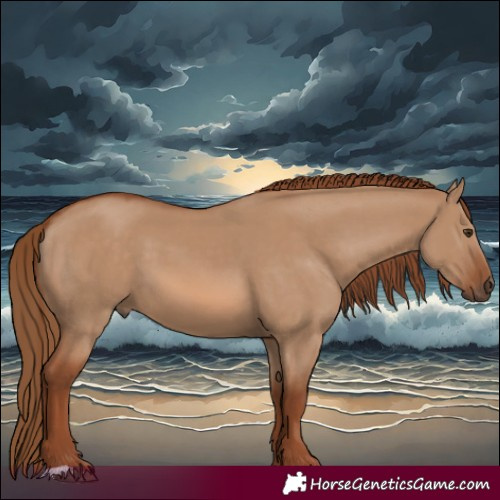 Horse Color:Red Dun 