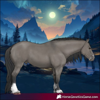 Horse Color:Grullo Sabino Tobiano 