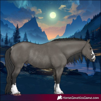 Horse Color:Grullo Rabicano 