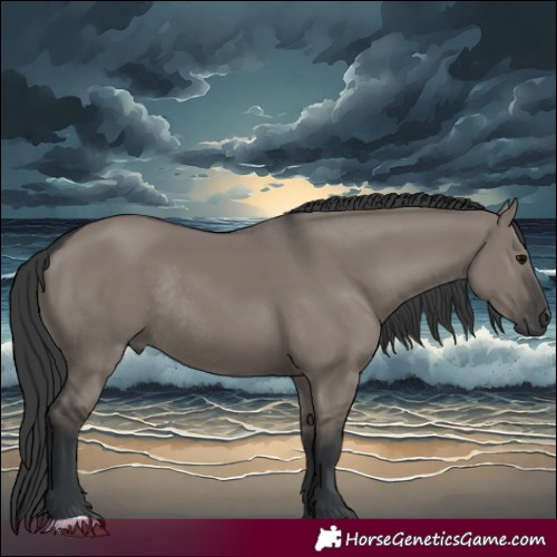 Horse Color:Grullo Rabicano 