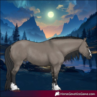 Horse Color:Grullo Rabicano 