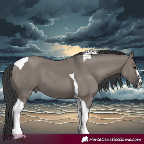 Horse Color:Grullo Tobiano