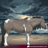 Horse Color:Grullo Tobiano 