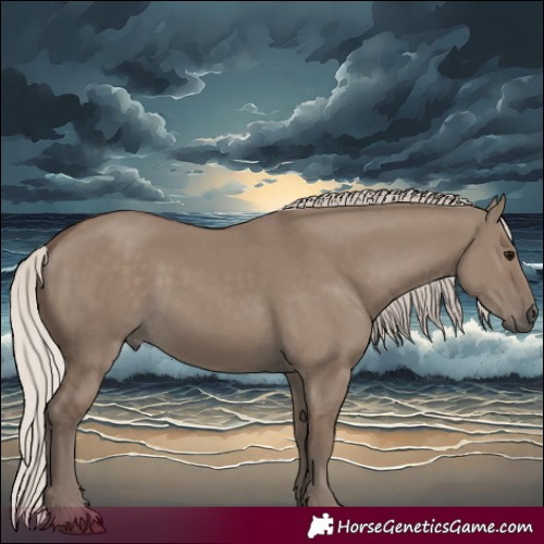 Horse Color:Silver Grullo 