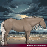 Horse Color:Silver Grullo 