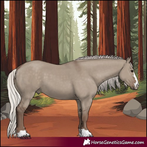 Horse Color:Silver Grullo 